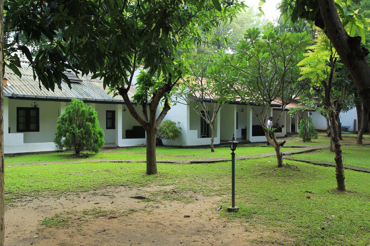 Hotel Dambulu Oya Family Park Dambulla Exterior foto