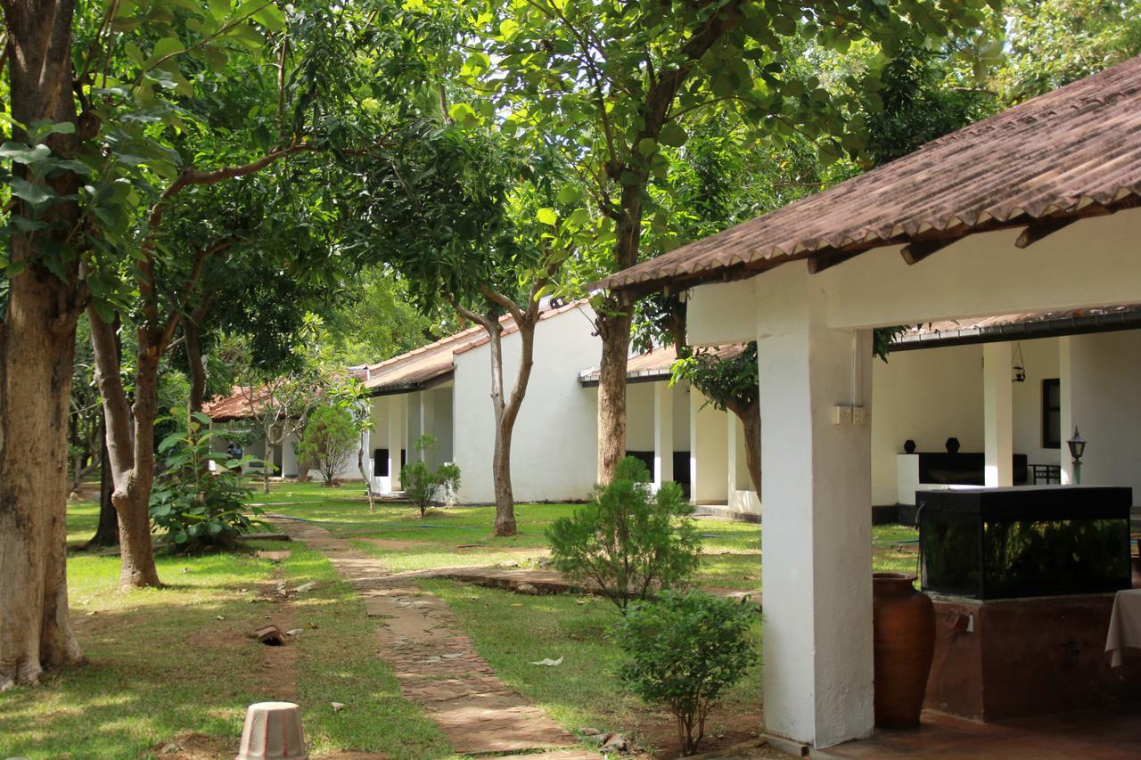 Hotel Dambulu Oya Family Park Dambulla Exterior foto