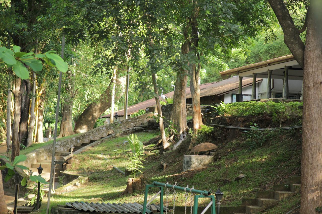 Hotel Dambulu Oya Family Park Dambulla Exterior foto