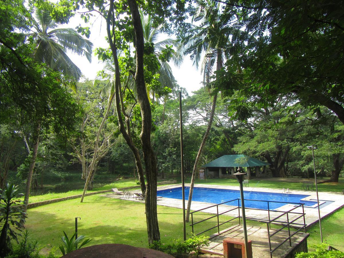 Hotel Dambulu Oya Family Park Dambulla Exterior foto