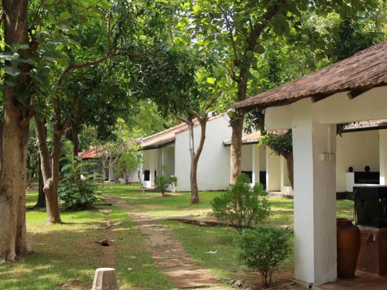 Hotel Dambulu Oya Family Park Dambulla Exterior foto
