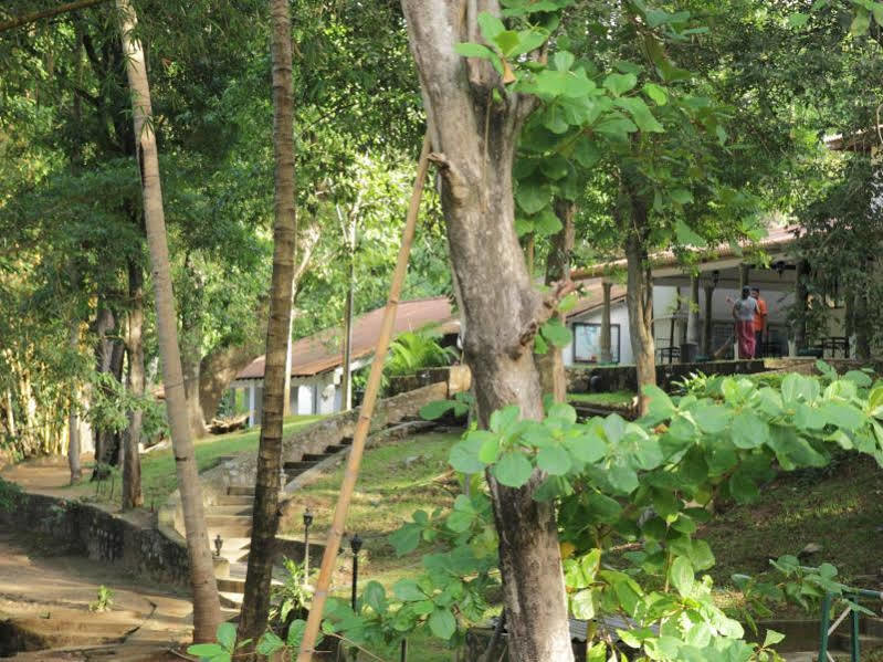 Hotel Dambulu Oya Family Park Dambulla Exterior foto