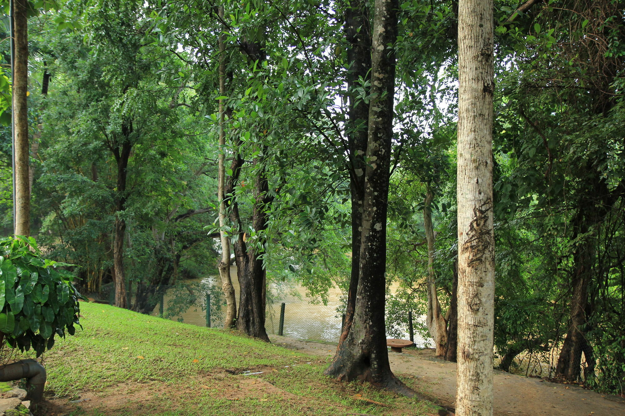 Hotel Dambulu Oya Family Park Dambulla Exterior foto