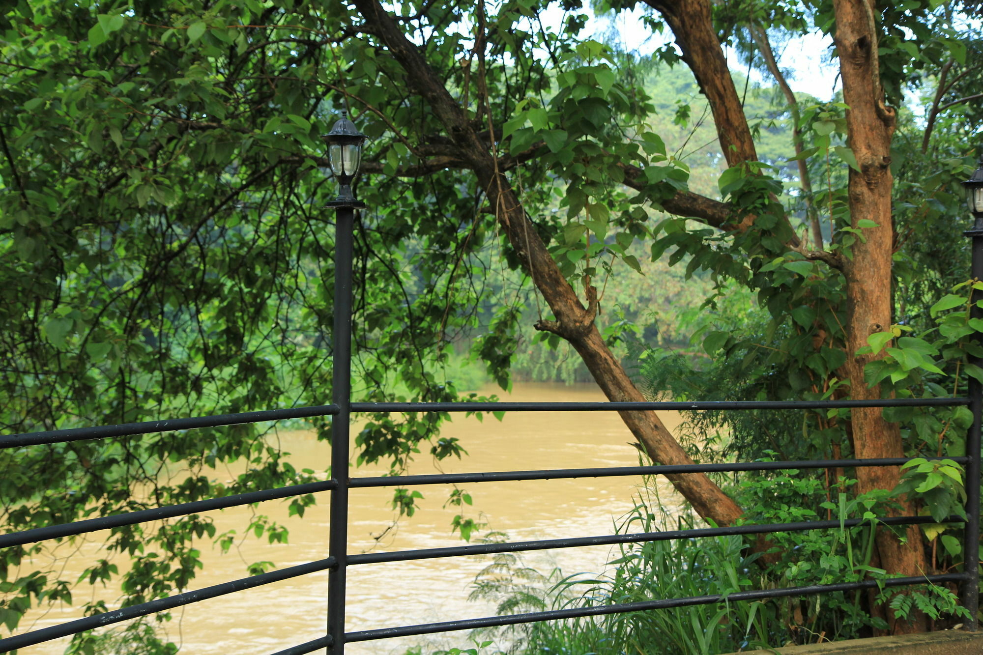 Hotel Dambulu Oya Family Park Dambulla Exterior foto