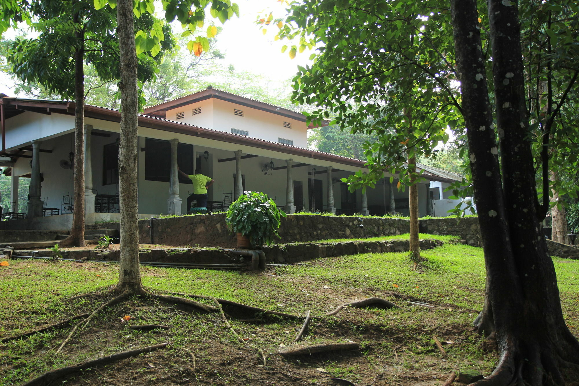 Hotel Dambulu Oya Family Park Dambulla Exterior foto