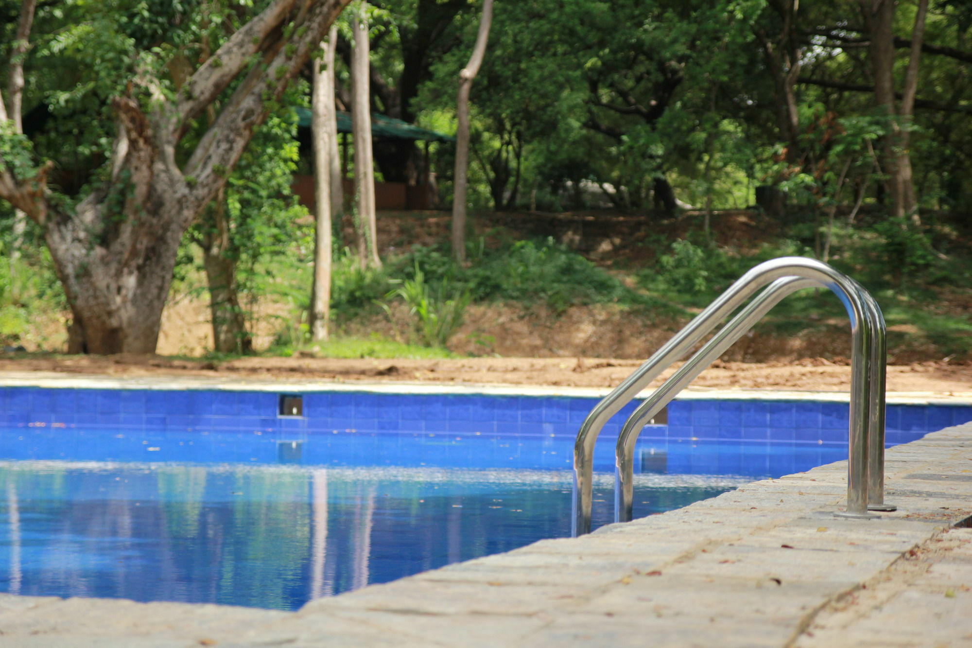 Hotel Dambulu Oya Family Park Dambulla Exterior foto