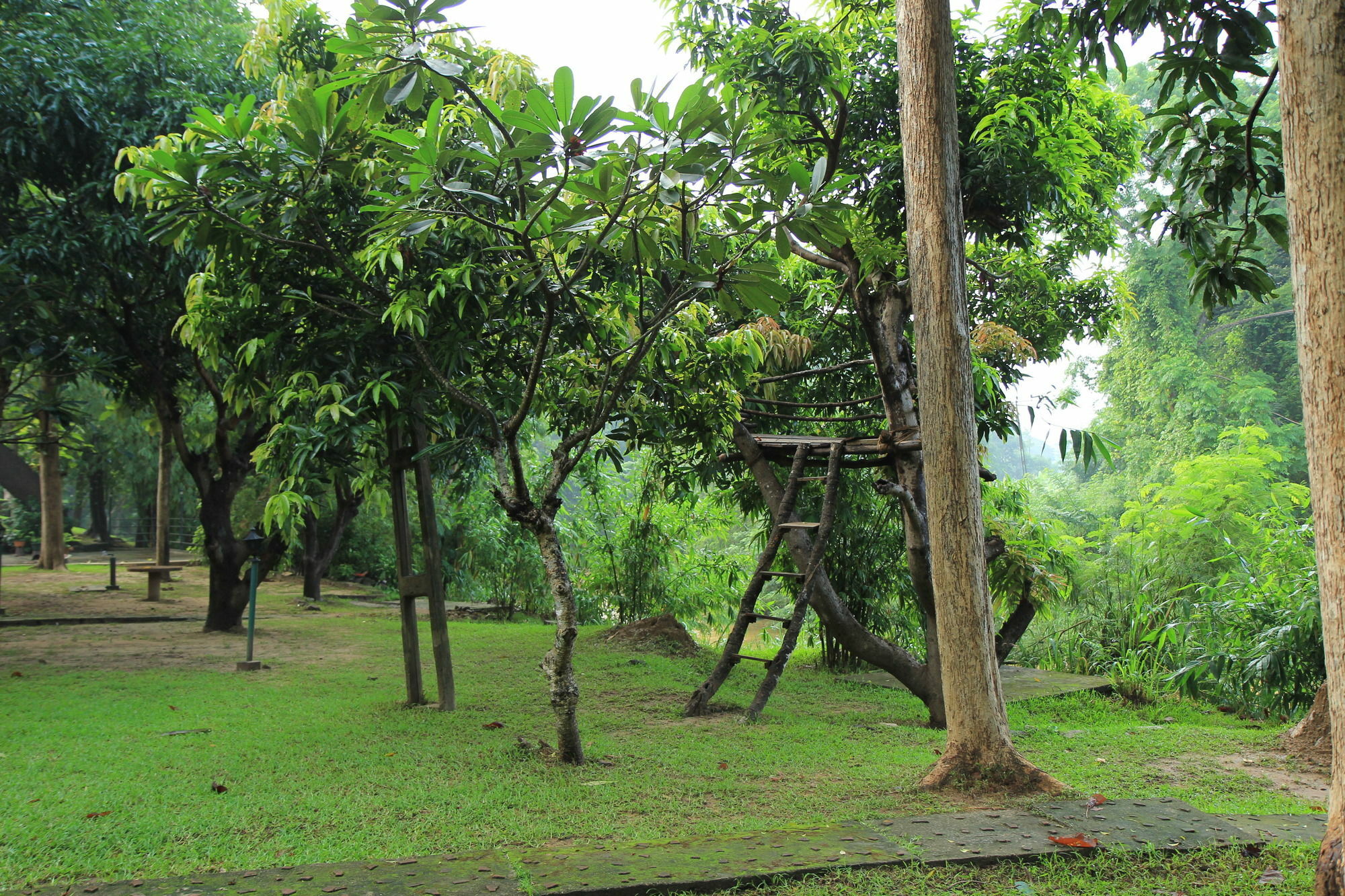 Hotel Dambulu Oya Family Park Dambulla Exterior foto